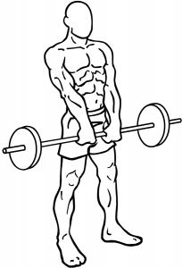 Barbell-shrugs-1