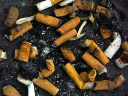 Cigarette Butts