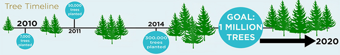 WeWood Watches Tree Planting Timeline