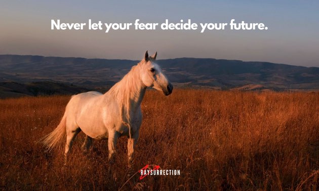 Never let your fear decide your future.