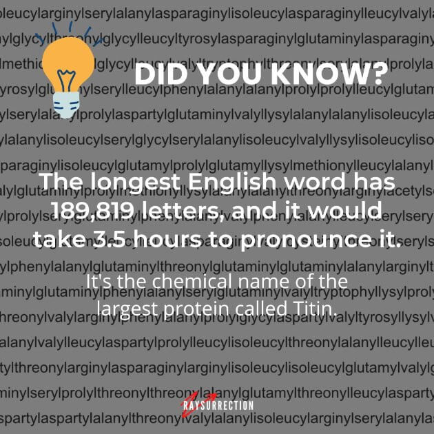 Interesting facts The Longest English Word Has 189,819 Letters