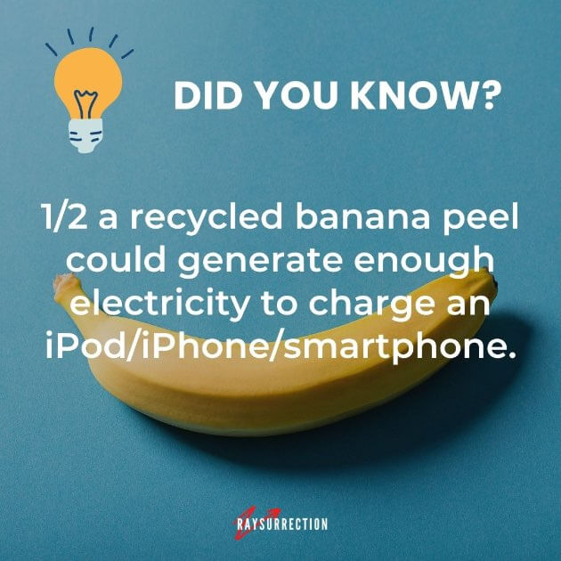 Interesting fact Half a recycled banana peel could generate enough electricity to charge a smartphone