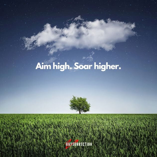 Aim high. Soar higher.