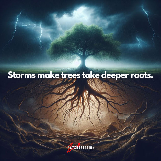 Storms make trees take deeper roots.
